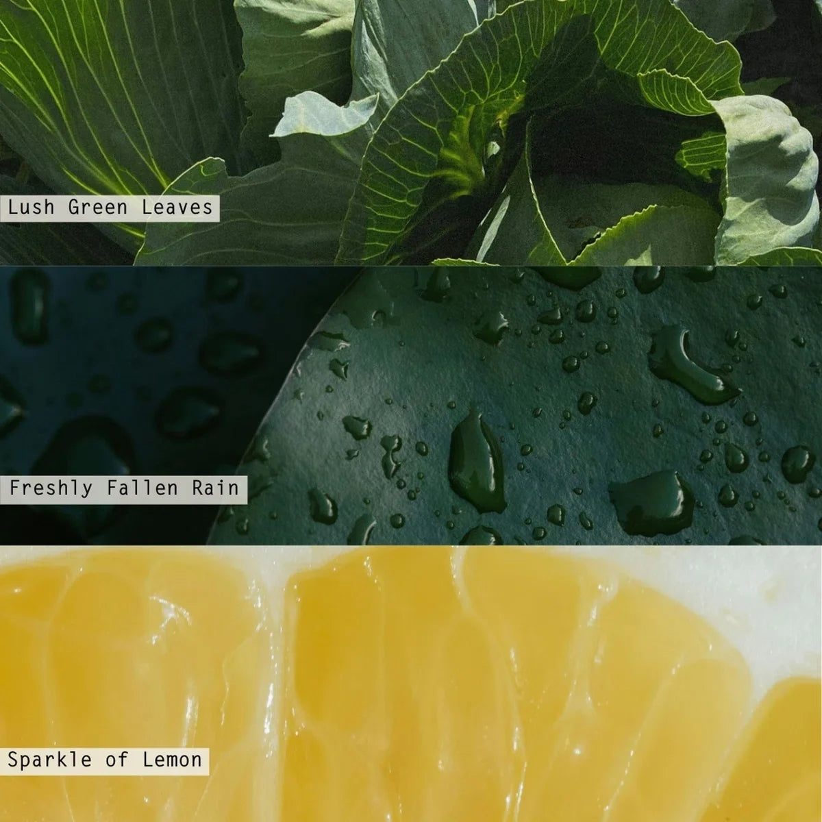 Beautifully Done Baltic Glass Candle, Hidden Lake